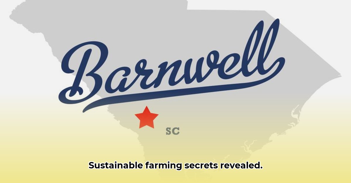 tractor-supply-barnwell-sc